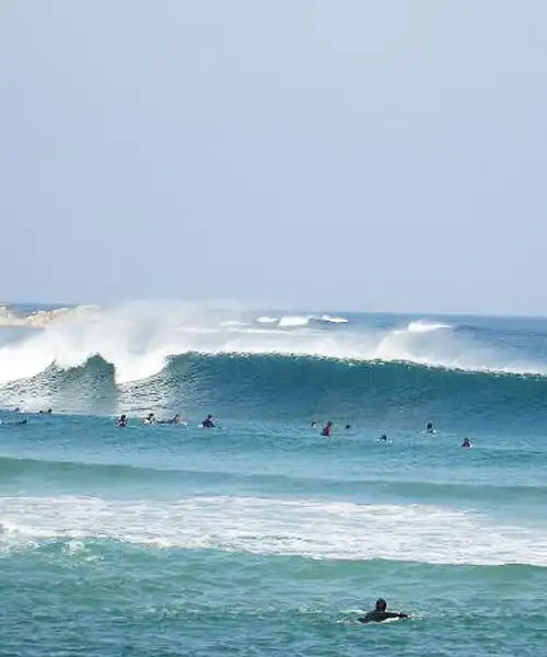 Japan Sea